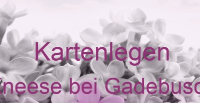 Kartenlegen Kneese bei Gadebusch | Top-Experten für Kartenlegen, Wahrsagen, Hellsehen, Zukunftsdeutung.